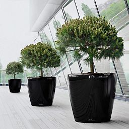 LECHUZA CLASSICO 60|70 Round Poly Resin Self-watering Planter with Substrate