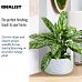 IDEALIST Lite Wave Style Table and Hanging Cylinder Round Plant Pot Dual Use Indoor Planter