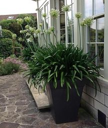 Geo Classic Fiberglass Square Tall Aluminium Planter Pot In/Out