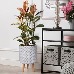 IDEALIST Lite Dotted Style Planter on Legs, Round Plant Pot Indoor