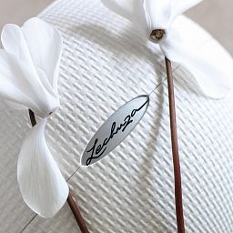 LECHUZA CLASSICO LS Round Poly Resin Self-watering Planter Set