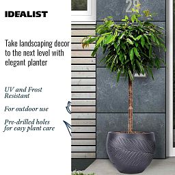 IDEALIST Lite Leaf Embossed Ball Planter