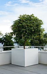 Square Fiberstone Planter by Idealist Premium BLOCK Glossy