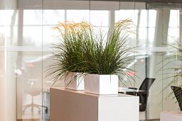 WINDOW BOX Fiberstone Low Planter by Idealist Premium Balcony Glossy