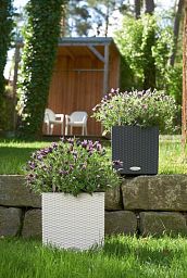 LECHUZA CUBE Cottage Square Poly Resin Self-watering Planter