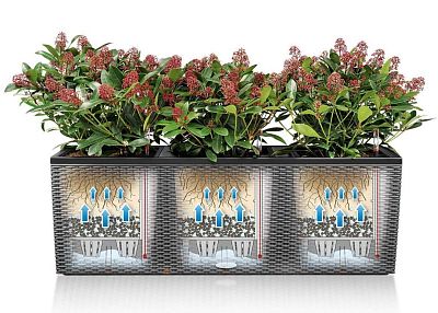 LECHUZA TRIO Cottage Trough Poly Resin Self-watering Planter