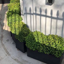 IDEALIST Lite Contemporary Light Concrete Trough Planter