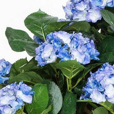 Hydrangea Artificial Flower Plant