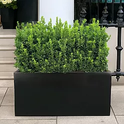 IDEALIST Lite Contemporary Light Concrete Trough Planter