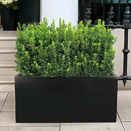 IDEALIST Lite Contemporary Light Concrete Trough Planter