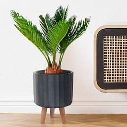 IDEALIST Lite Modern Ribbed Cylinder Planter on Legs, Round Pot Plant Stand Indoor