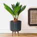 IDEALIST Lite Modern Ribbed Cylinder Planter on Legs, Round Pot Plant Stand Indoor