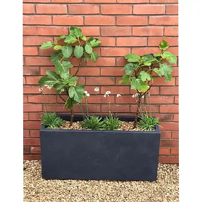 IDEALIST Lite Contemporary Light Concrete High Trough Planter