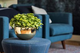 Fiberstone Glossy Peter Light Planter by Idealist Premium