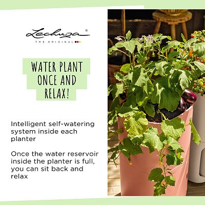 LECHUZA PILA Color Square Poly Resin Self-watering Planter
