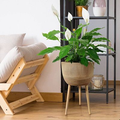 HORTICO GAIA Wooden House Planter with Legs, Tall Indoor Plant Pot Stand with Waterproof Liner
