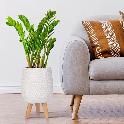 IDEALIST Lite Honeycomb Style Egg Planter on Legs, Round Pot Plant Stand Indoor