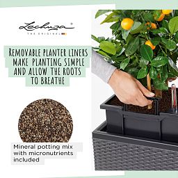 LECHUZA TRIO Cottage Trough Poly Resin Self-watering Planter