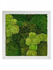 Moss Painting Superline Square 