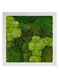 Moss Painting Superline Square
