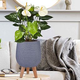 IDEALIST Lite Honeycomb Style Egg Planter on Legs, Round Pot Plant Stand Indoor