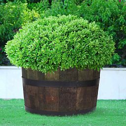 Rustic Upcycled Oak Wood Round Tub Half Barrel Outdoor Planter Made in UK by HORTICO