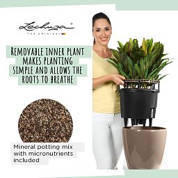 LECHUZA CLASSICO LS Round Poly Resin Self-watering Planter