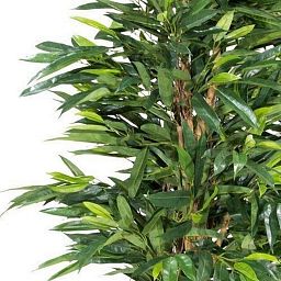 LONGIFOLIA ROYAL NATURAL Artificial Tree Plant