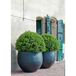 Fibrestone Jumbo Orb Round Planter by Idealist Premium