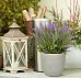 IDEALIST Lite Wave Style Outdoor Egg Planter