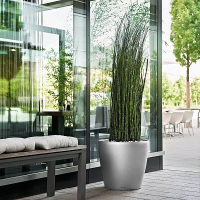LECHUZA CLASSICO 60|70 Round Poly Resin Self-watering Planter with Substrate