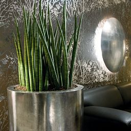 Pandora Leaf (single wall) Round Tall Polystone Indoor Planter