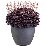 Round planters