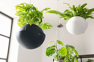LECHUZA BOLA Color Round Poly Resin Self-watering Planter