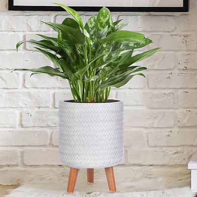 IDEALIST Lite Plaited Style Cylinder Planter on Legs, Round Pot Plant Stand Indoor