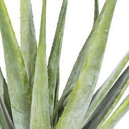ALOE Artificial Fower Plant
