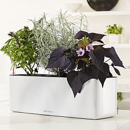 LECHUZA CUBE Glossy Triple Trough Poly Resin Self-watering Planter