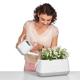 LECHUZA YULA Plant Bag Trough Poly Resin Indoor Self-watering Planter
