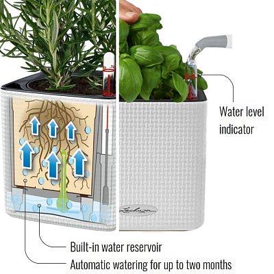 LECHUZA Green Wall Home Kit Color White Poly Resin Hanging Self-watering  Planter with Water Level Indicator H14 L48 W15 cm, 1.4x3L - from 84.99 |  Getpotted.com