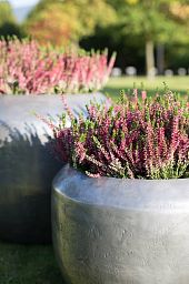 Loft Circle Round Polystone Outdoor Planter