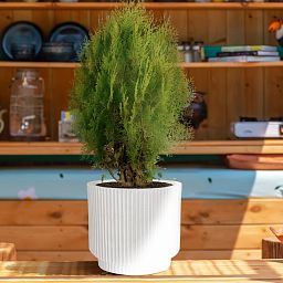 IDEALIST Lite Vertical Ribbed Cylinder Outdoor Planter