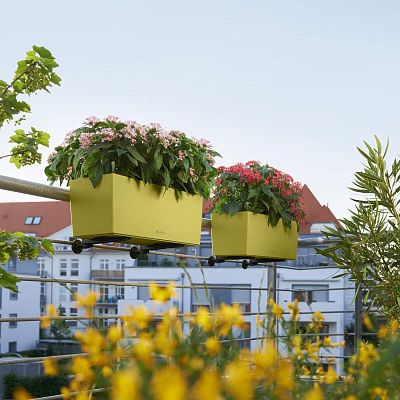 LECHUZA BALCONERA Color Trough Poly Resin Self-watering Planter