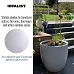 IDEALIST Lite Contemporary Light Concrete Egg Planter