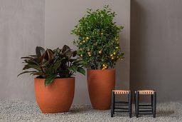Fibrestone Jesslyn Round Planter by Idealist Premium