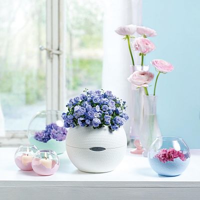 LECHUZA PURO Color Round Poly Resin Self-watering Planter