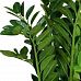 ZAMIOCULCAS Artificial Flower Plant