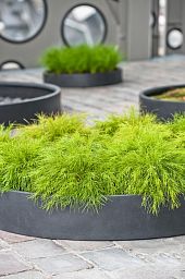 Fibrestone Max Low Round Planter by Idealist Premium