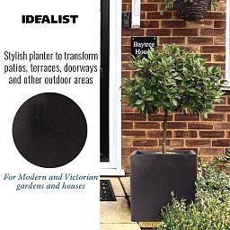 IDEALIST Lite Square Box Contemporary Light Concrete Planter