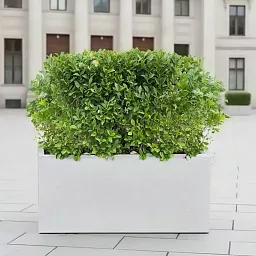 IDEALIST Lite Contemporary Light Concrete High Trough Planter