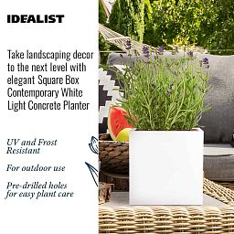 IDEALIST Lite Square Box Contemporary Light Concrete Planter